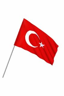 Büyük Saplı Bayrak