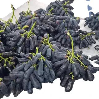 ÇİN ÜZÜMÜ 1 ADET